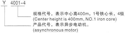 西安泰富西玛Y系列(H355-1000)高压YR6303-8/1120KW三相异步电机型号说明